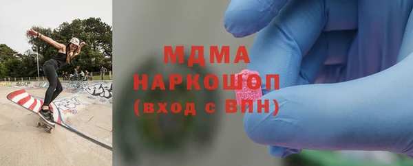 прущие грибы Верея