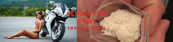 прущие грибы Верея