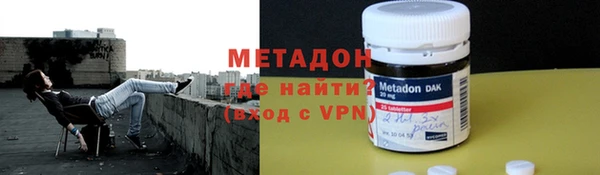 прущие грибы Верея