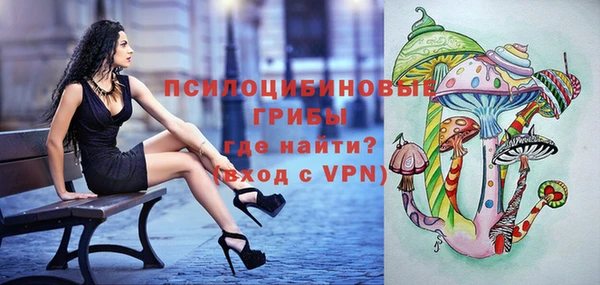 прущие грибы Верея