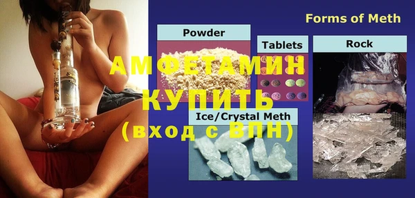 прущие грибы Верея
