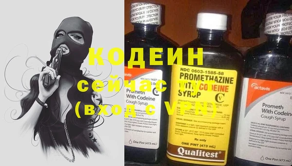 прущие грибы Верея