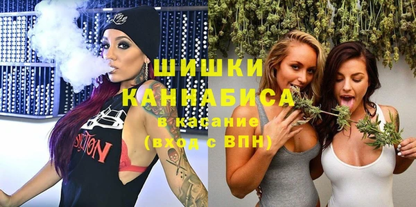 прущие грибы Верея