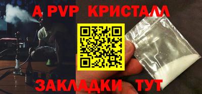 шишки Бийск