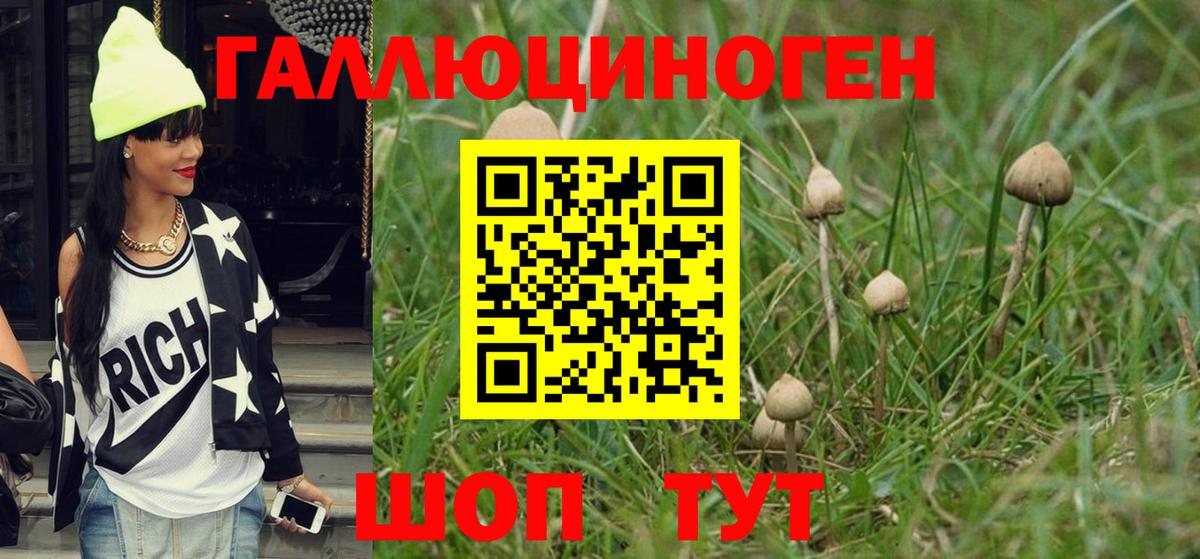 Псилоцибиновые грибы ЛСД Всеволожск