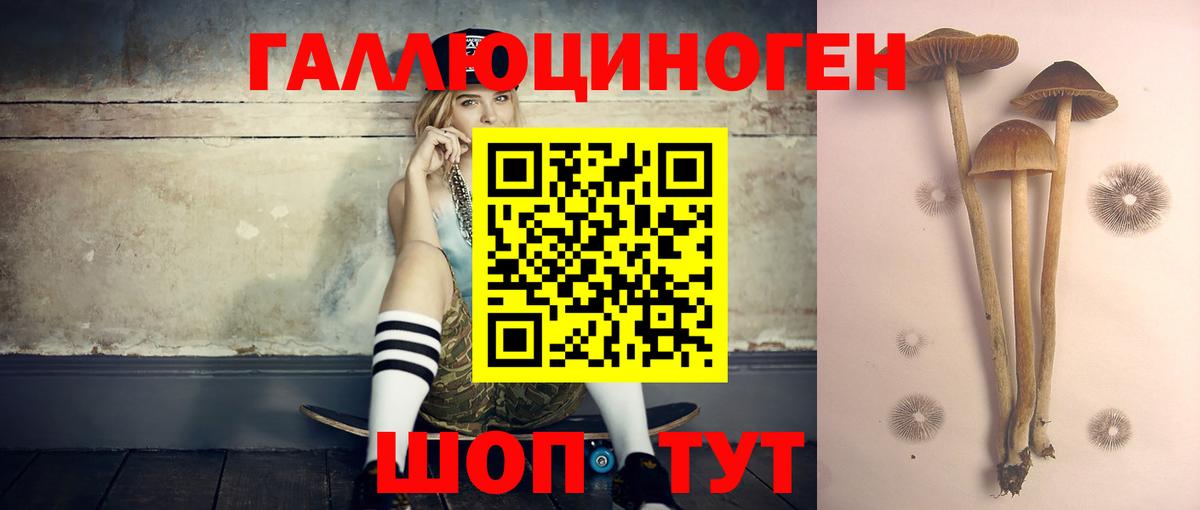 Всеволожск  Галлюциногенные грибы Psilocybe  Псилоцибиновые грибы Magic Shrooms  Вход с VPN 