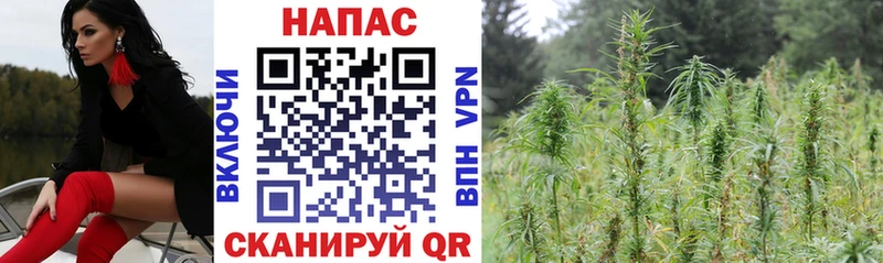 Каннабис THC 21%  omg ССЫЛКА  Всеволожск 